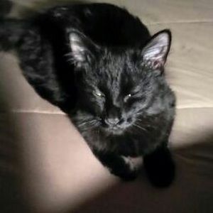 Meet your Posher, Sharon